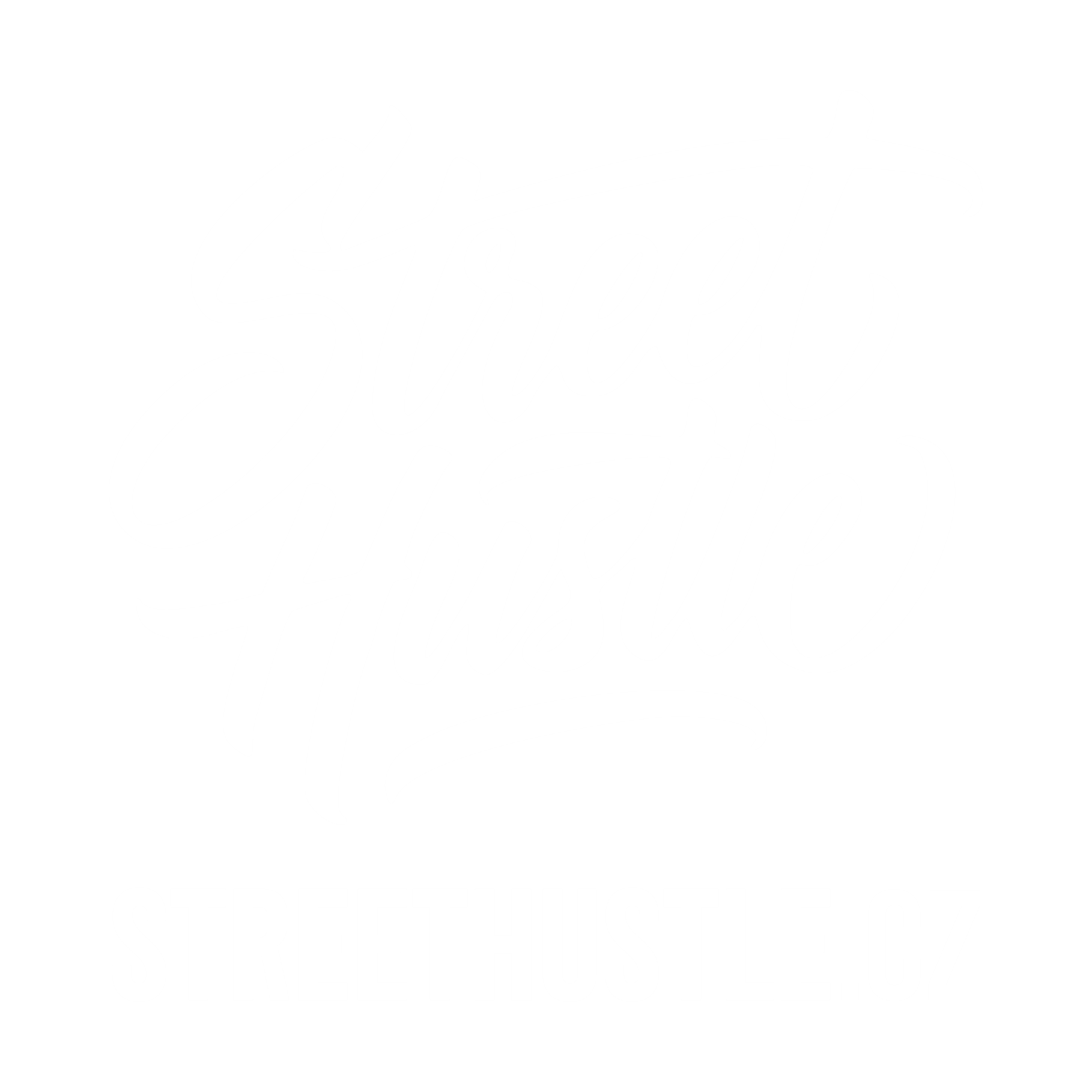 STREETHUSTLE.CZ